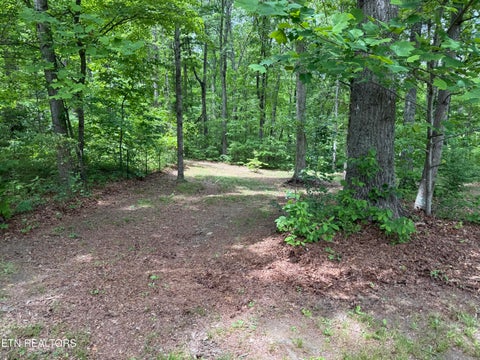 Tiny photo for 3422 Airport Rd, Rockwood, TN 37854 (MLS # 1341309)