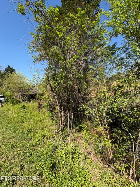 Tiny photo for 3755 Richardson Cove Rd, Sevierville, TN 37876 (MLS # 1336077)