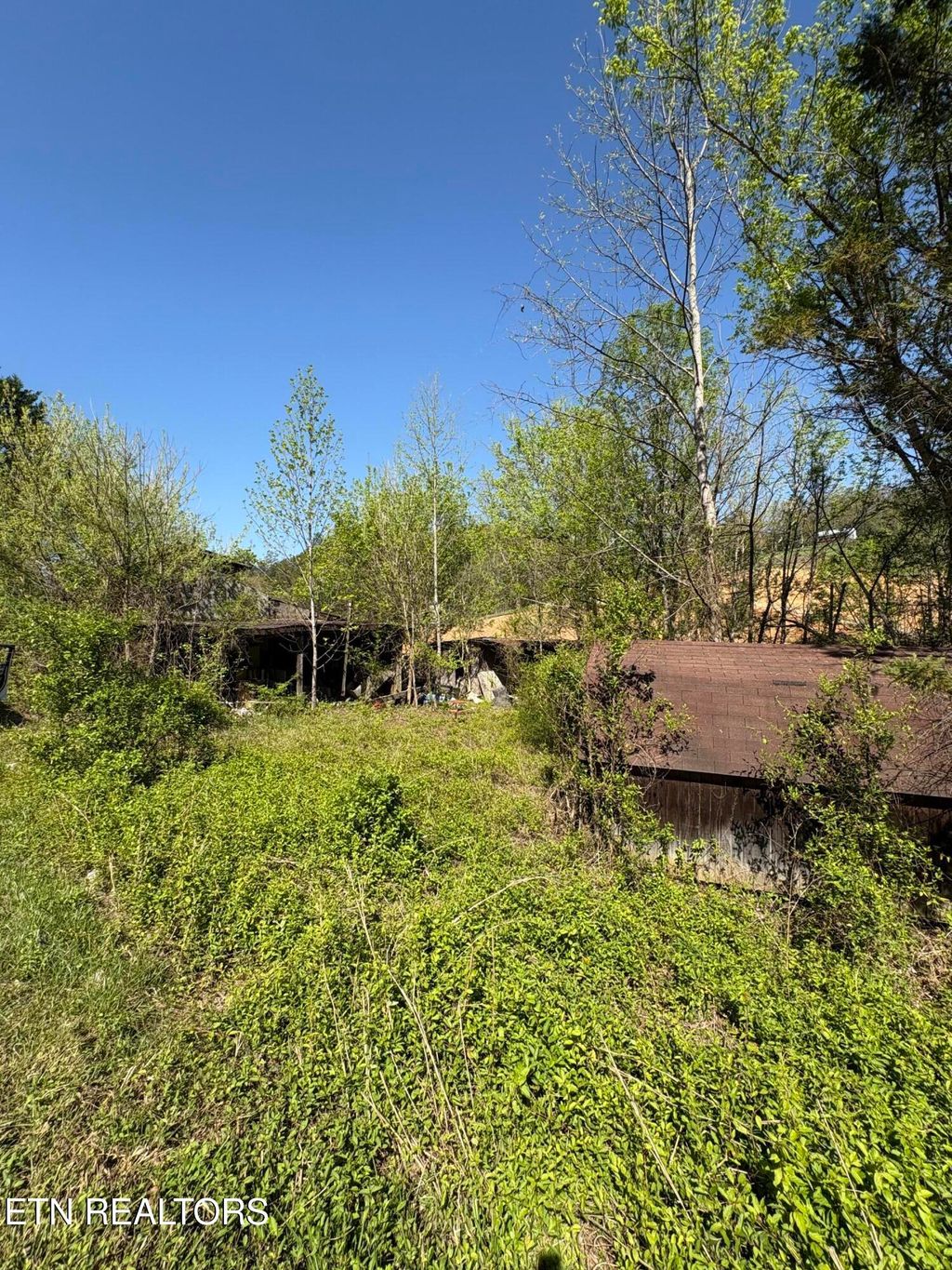 Photo of 3755 Richardson Cove Rd, Sevierville, TN 37876 (MLS # 1336077)