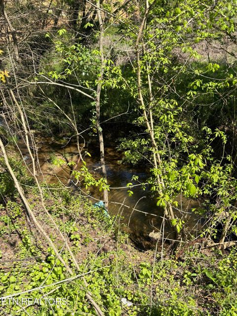 Tiny photo for 3755 Richardson Cove Rd, Sevierville, TN 37876 (MLS # 1336077)