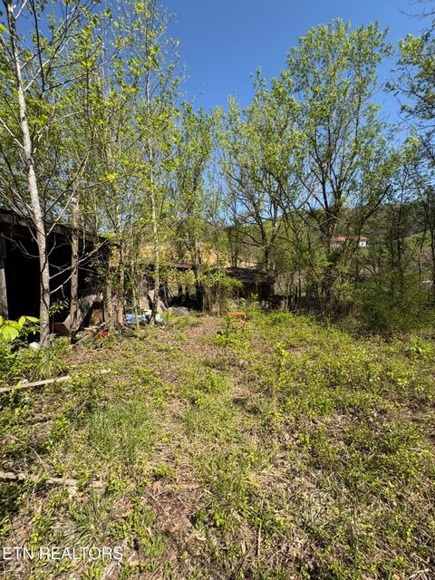 Tiny photo for 3755 Richardson Cove Rd, Sevierville, TN 37876 (MLS # 1336077)