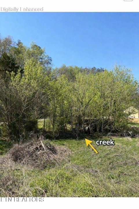 Tiny photo for 3755 Richardson Cove Rd, Sevierville, TN 37876 (MLS # 1336077)