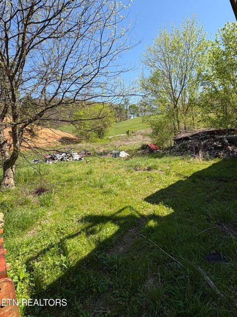 Tiny photo for 3755 Richardson Cove Rd, Sevierville, TN 37876 (MLS # 1336077)