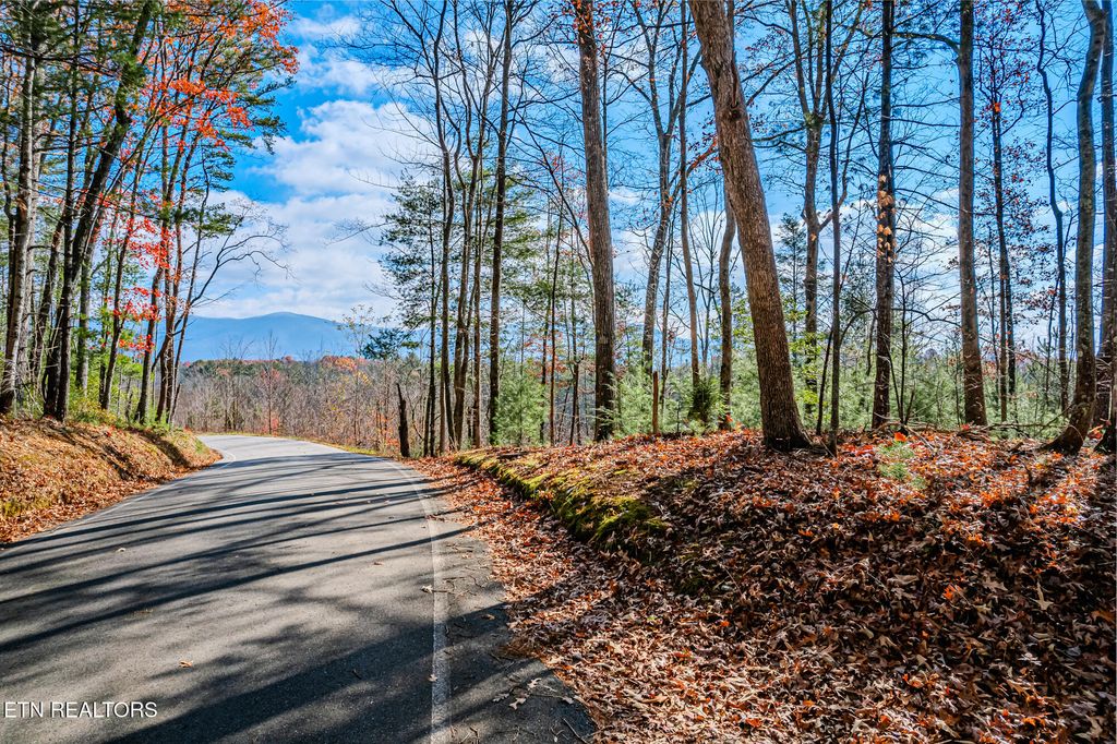 Photo of Pond Ridge Road, Tellico Plains, TN 37385 (MLS # 1283952)