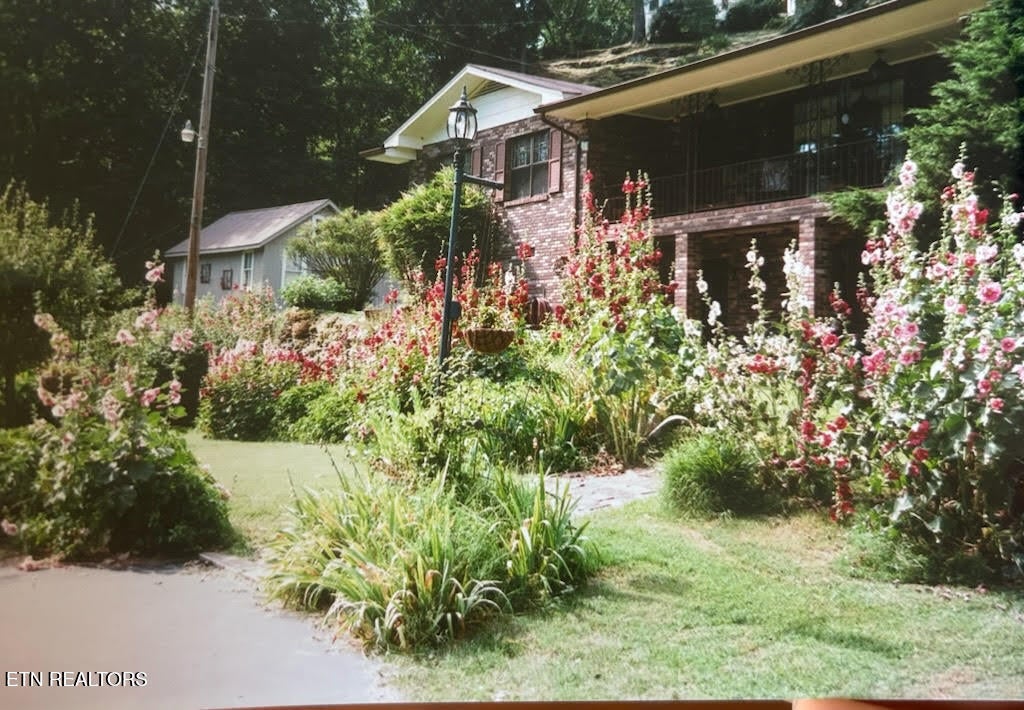 Photo of 460 Riverview St, Oakdale, TN 37829 (MLS # 1292494)