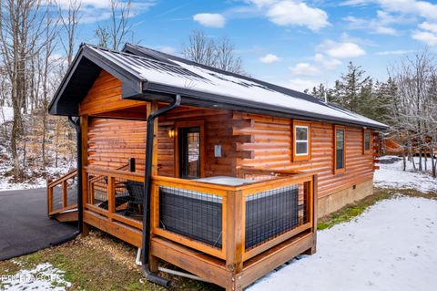 Tiny photo for 1069 Timberlake Circle, Sevierville, TN 37876 (MLS # 1328994)