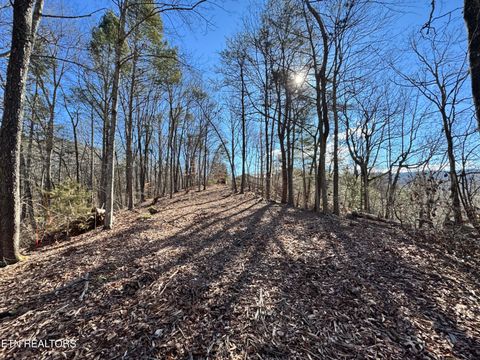 Tiny photo for Deerfoot Rd, Cosby, TN 37722 (MLS # 1328963)