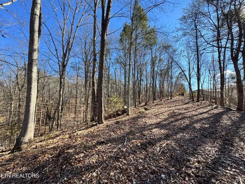 Tiny photo for Deerfoot Rd, Cosby, TN 37722 (MLS # 1328963)