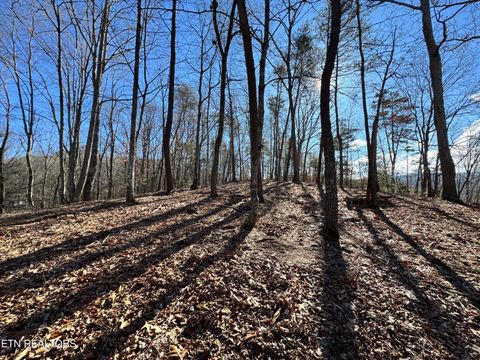 Tiny photo for Deerfoot Rd, Cosby, TN 37722 (MLS # 1328963)