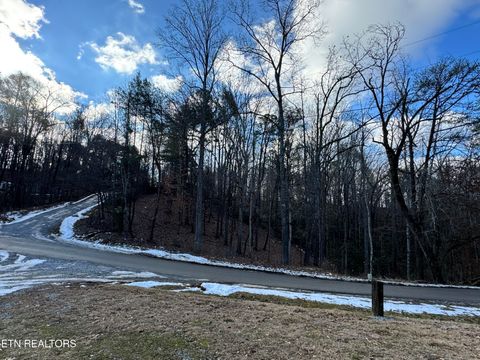 Tiny photo for Deerfoot Rd, Cosby, TN 37722 (MLS # 1328963)