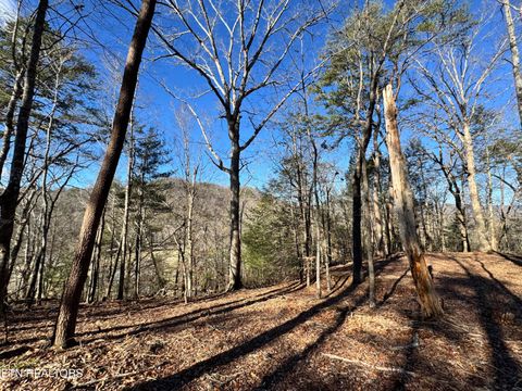 Tiny photo for Deerfoot Rd, Cosby, TN 37722 (MLS # 1328963)