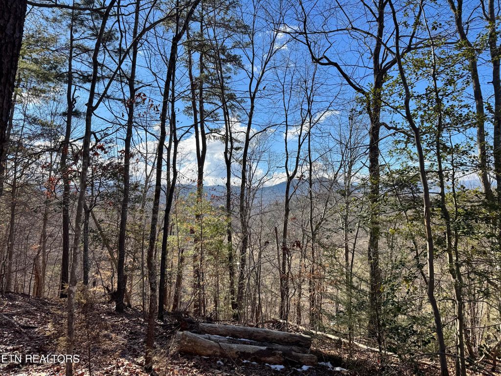 Photo of Deerfoot Rd, Cosby, TN 37722 (MLS # 1328963)