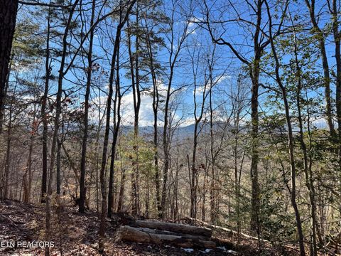 Photo of Deerfoot Rd, Cosby, TN 37722 (MLS # 1328963)