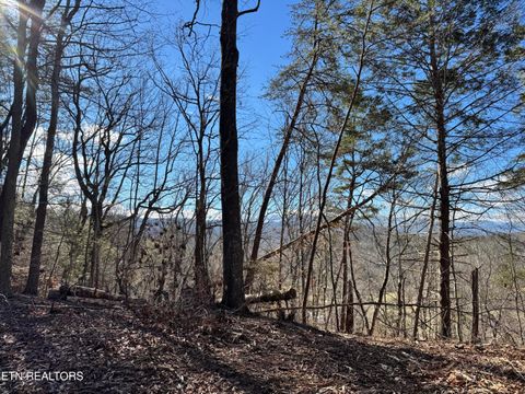 Tiny photo for Deerfoot Rd, Cosby, TN 37722 (MLS # 1328963)