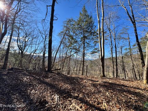 Tiny photo for Deerfoot Rd, Cosby, TN 37722 (MLS # 1328963)