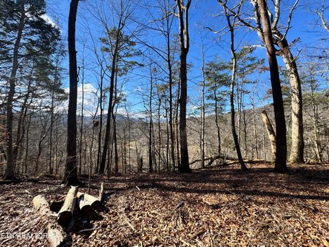 Tiny photo for Deerfoot Rd, Cosby, TN 37722 (MLS # 1328963)