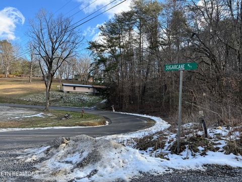 Tiny photo for Deerfoot Rd, Cosby, TN 37722 (MLS # 1328963)
