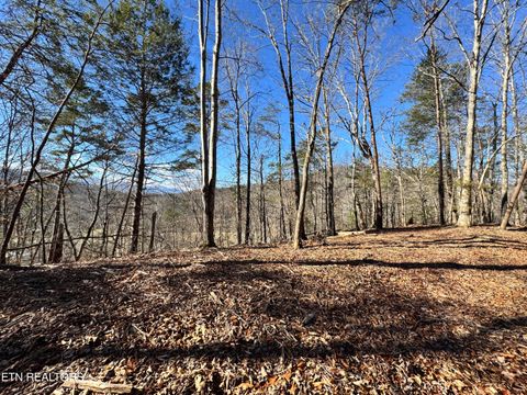 Tiny photo for Deerfoot Rd, Cosby, TN 37722 (MLS # 1328963)