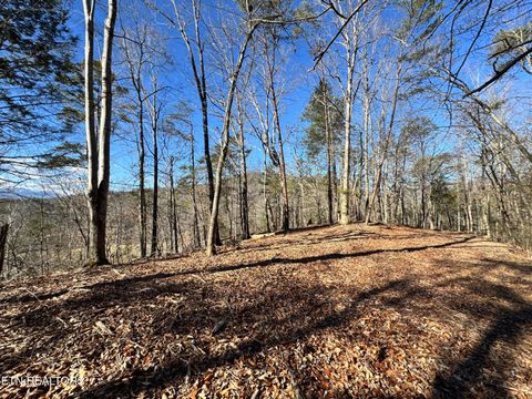 Tiny photo for Deerfoot Rd, Cosby, TN 37722 (MLS # 1328963)