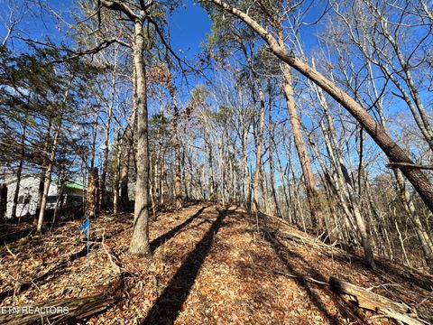 Tiny photo for Deerfoot Rd, Cosby, TN 37722 (MLS # 1328963)