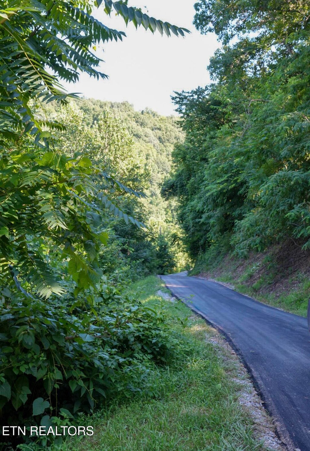 Photo of 1688 Goodwater Rd, Bybee, TN 37713 (MLS # 1348872)