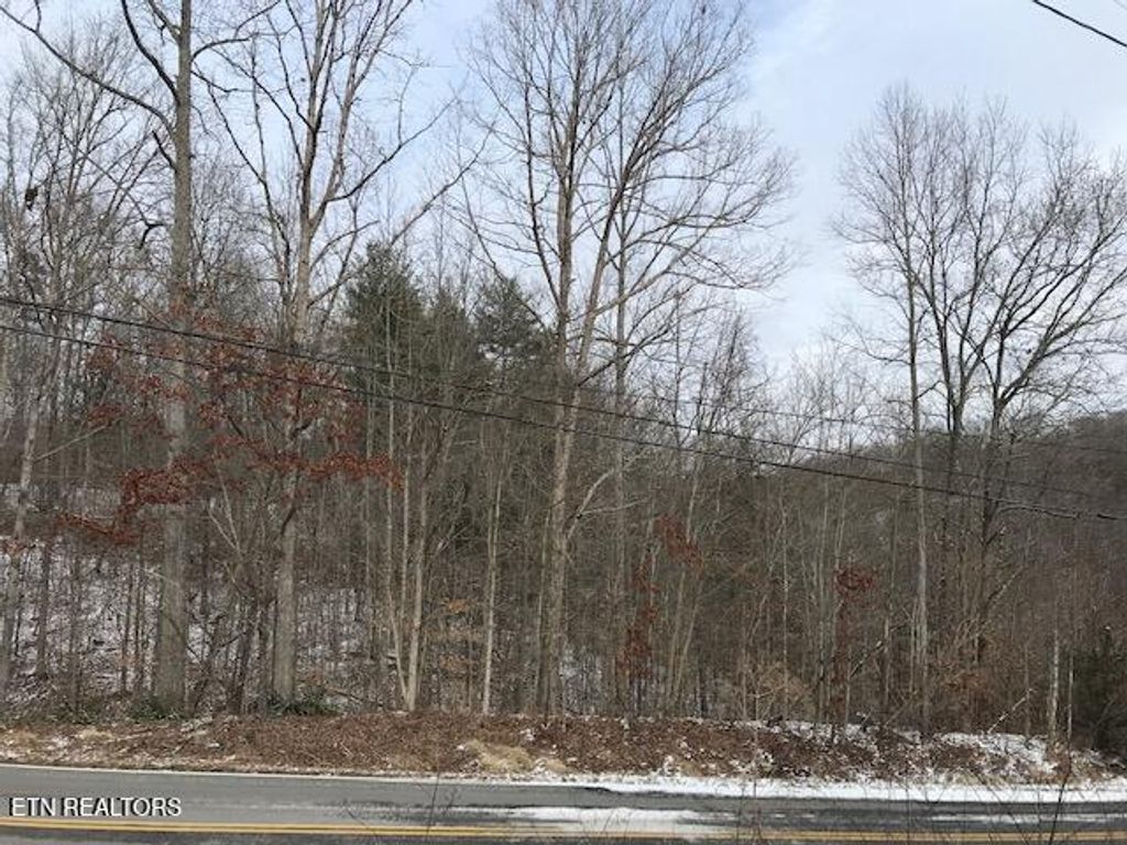 Photo of 80015 Buffalo Rd, Oneida, TN 37841 (MLS # 1288776)