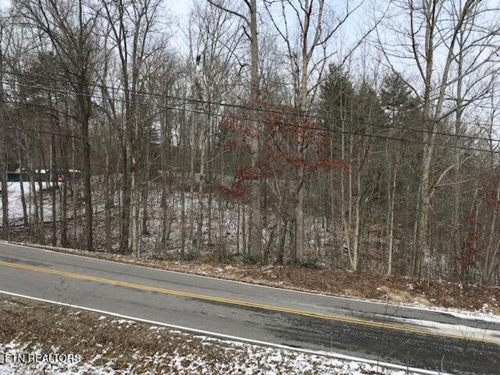 Photo of 80015 Buffalo Rd, Oneida, TN 37841 (MLS # 1288776)