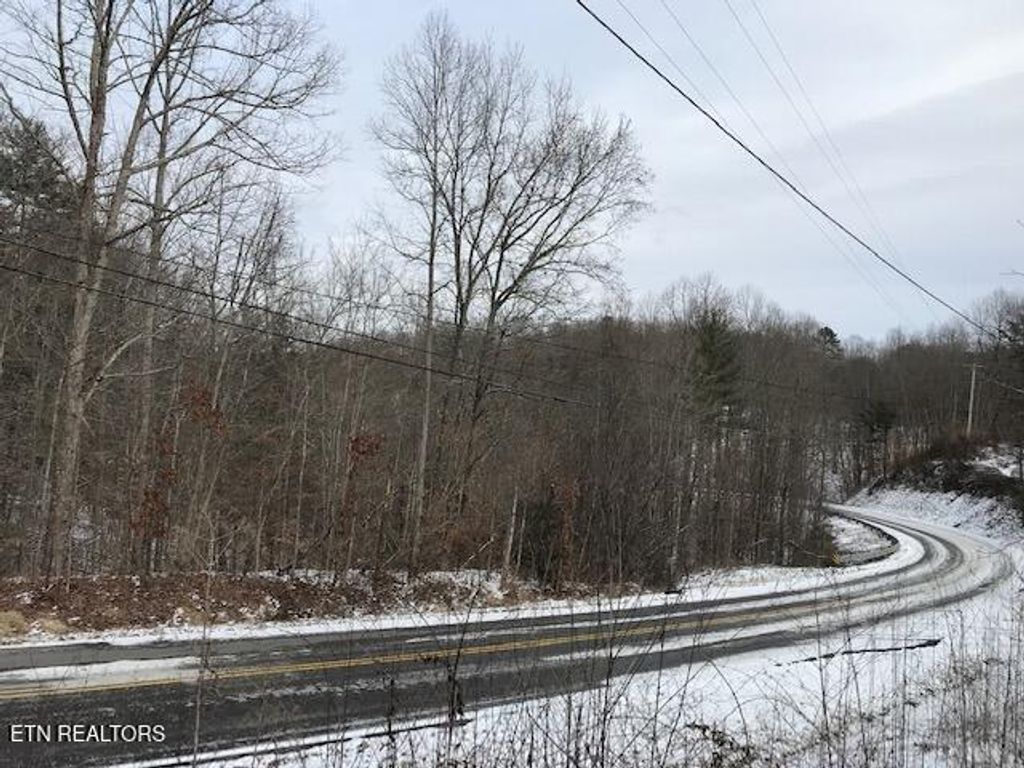 Photo of 80015 Buffalo Rd, Oneida, TN 37841 (MLS # 1288776)