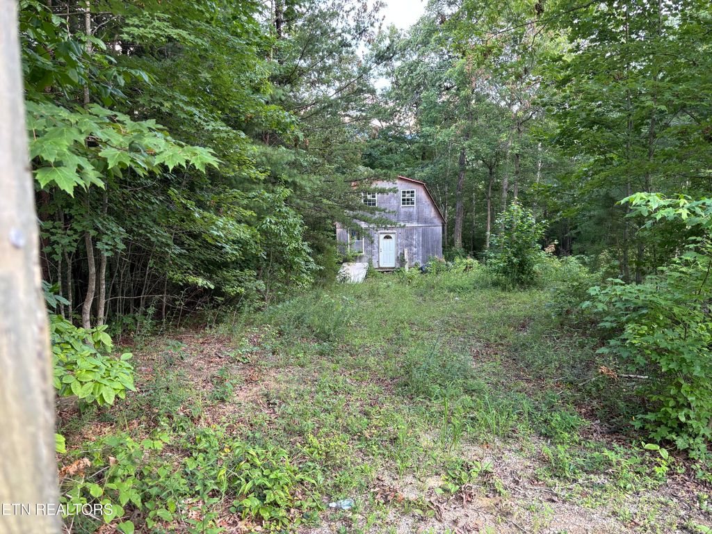 Photo of Patton Lane, Huntsville, TN 37756 (MLS # 1311505)