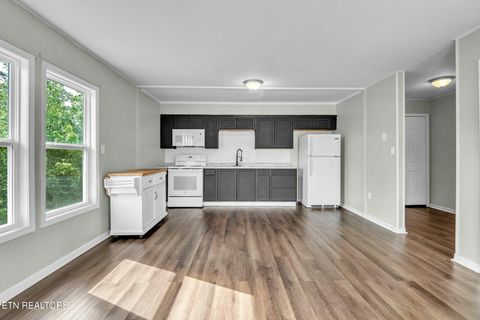Tiny photo for 106 King Ave Ave, Morristown, TN 37814 (MLS # 1317688)