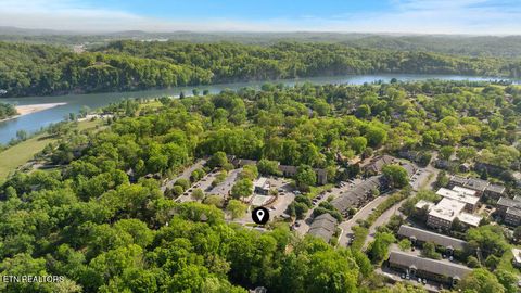 Tiny photo for 3636 Taliluna Ave #527, Knoxville, TN 37919 (MLS # 1337538)