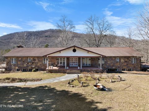 256 Ensley Lane Newcomb TN 37819