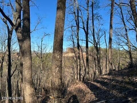 Photo of 2353 Headrick Lead, Sevierville, TN 37862 (MLS # 1356985)