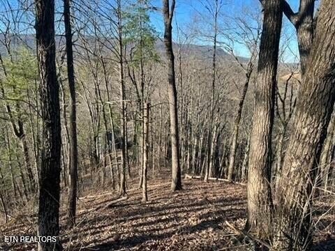 Photo of 2353 Headrick Lead, Sevierville, TN 37862 (MLS # 1356985)