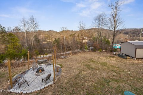 Tiny photo for 352 Perry Smith Lane, Caryville, TN 37714 (MLS # 1325992)