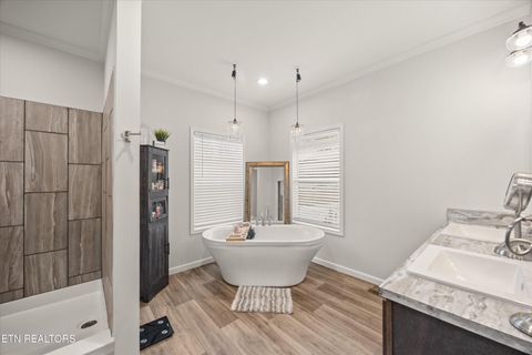 Tiny photo for 352 Perry Smith Lane, Caryville, TN 37714 (MLS # 1325992)