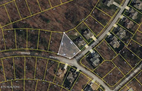 Photo of 201 Amherst Lane, Crossville, TN 38558 (MLS # 1330507)