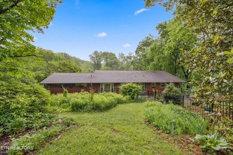 3516 Bluff Point Drive Knoxville TN 37920