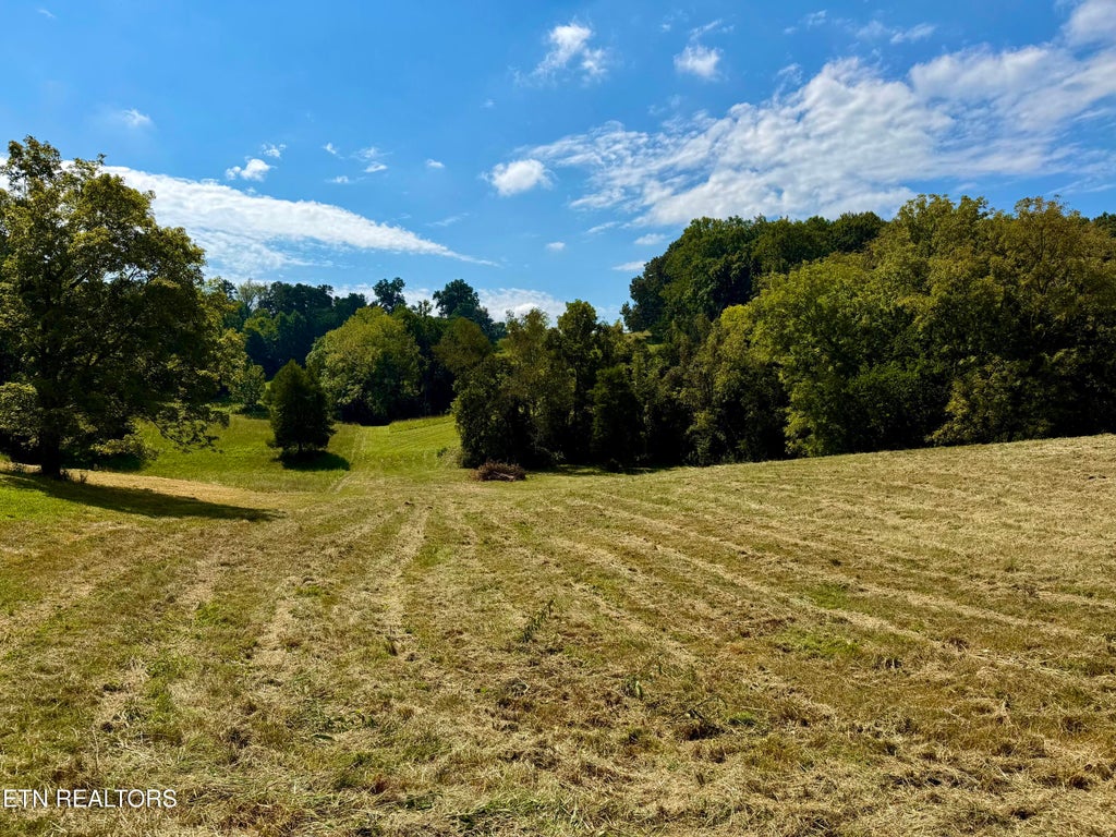 Photo of 0 Groseclose Rd, New Market, TN 37820 (MLS # 1353484)