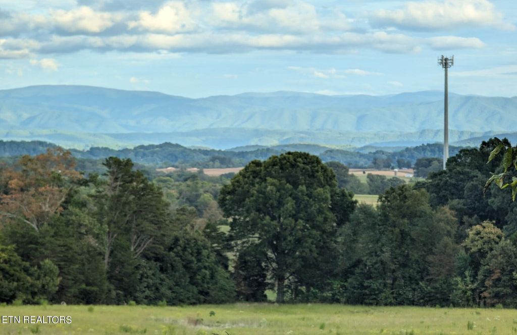 Photo of 0 Stinnett Rd, Madisonville, TN 37354 (MLS # 1276559)