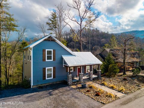 194 Cold Springs Trace Townsend TN 37882