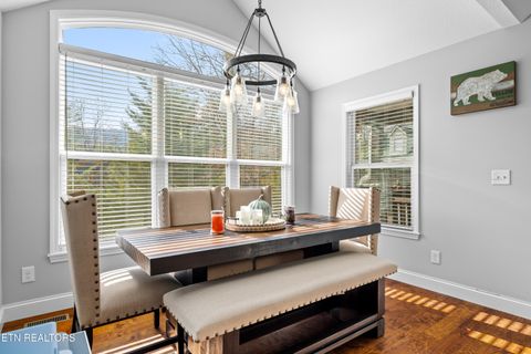 Tiny photo for 194 Cold Springs Trace, Townsend, TN 37882 (MLS # 1331116)