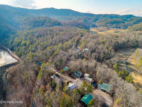 Tiny photo for 194 Cold Springs Trace, Townsend, TN 37882 (MLS # 1331116)