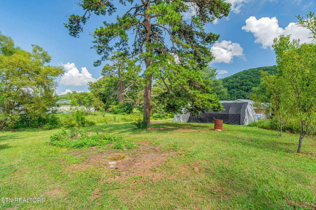 Photo of 231 Wright Rd, Oliver Springs, TN 37840 (MLS # 1349170)