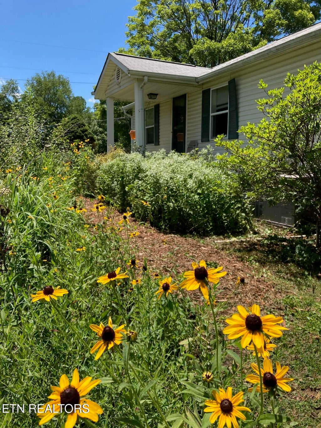 Photo of 231 Wright Rd, Oliver Springs, TN 37840 (MLS # 1349170)