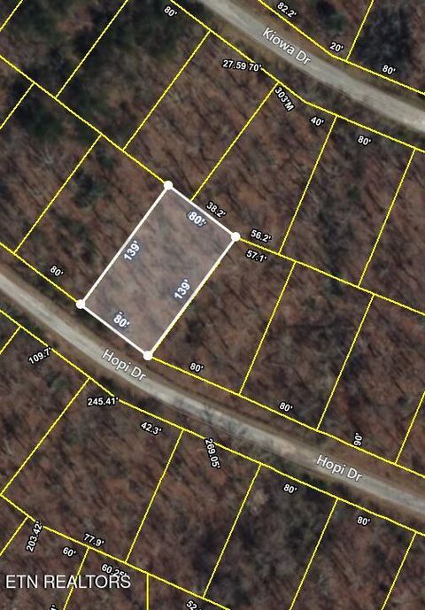 Photo of 1024 Hopi Drive, Crossville, TN 38572 (MLS # 1329352)