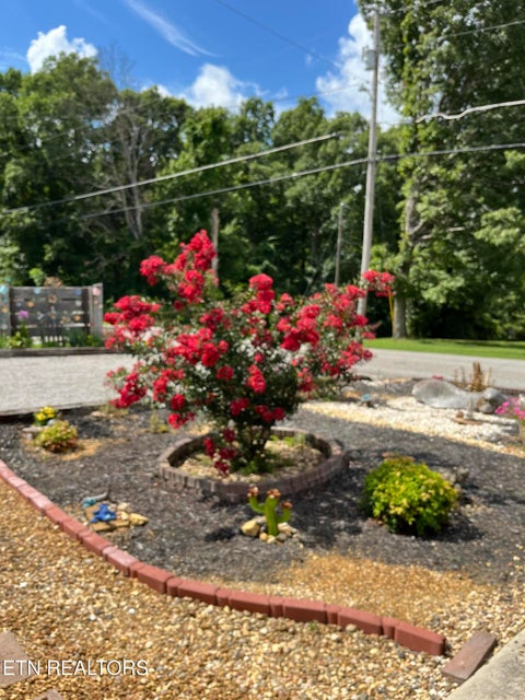 Tiny photo for 841 Yellow Cliff Rd, Jamestown, TN 38556 (MLS # 1359693)