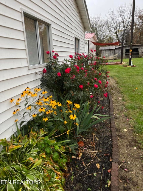 Tiny photo for 841 Yellow Cliff Rd, Jamestown, TN 38556 (MLS # 1359693)