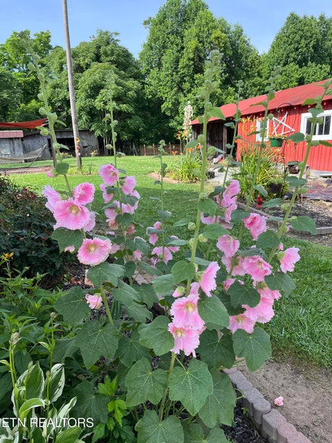 Tiny photo for 841 Yellow Cliff Rd, Jamestown, TN 38556 (MLS # 1359693)