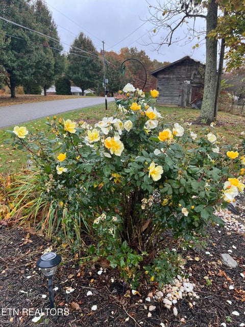 Tiny photo for 841 Yellow Cliff Rd, Jamestown, TN 38556 (MLS # 1359693)